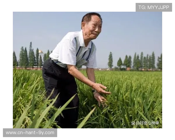 陈江华：中国计算机科学家的探索与贡献
