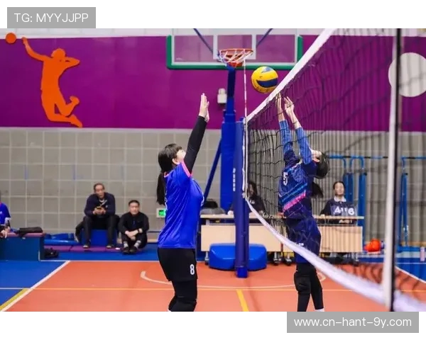 排球速度排行榜揭晓北京排球队荣获第五名佳绩