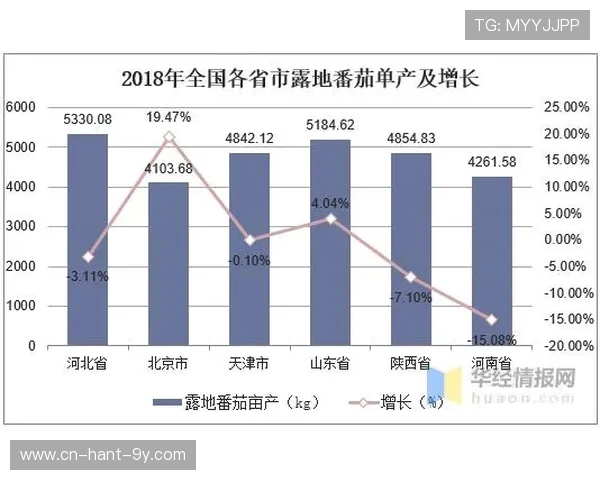 探索电竞职业联赛生态体系与产业发展未来趋势分析研究